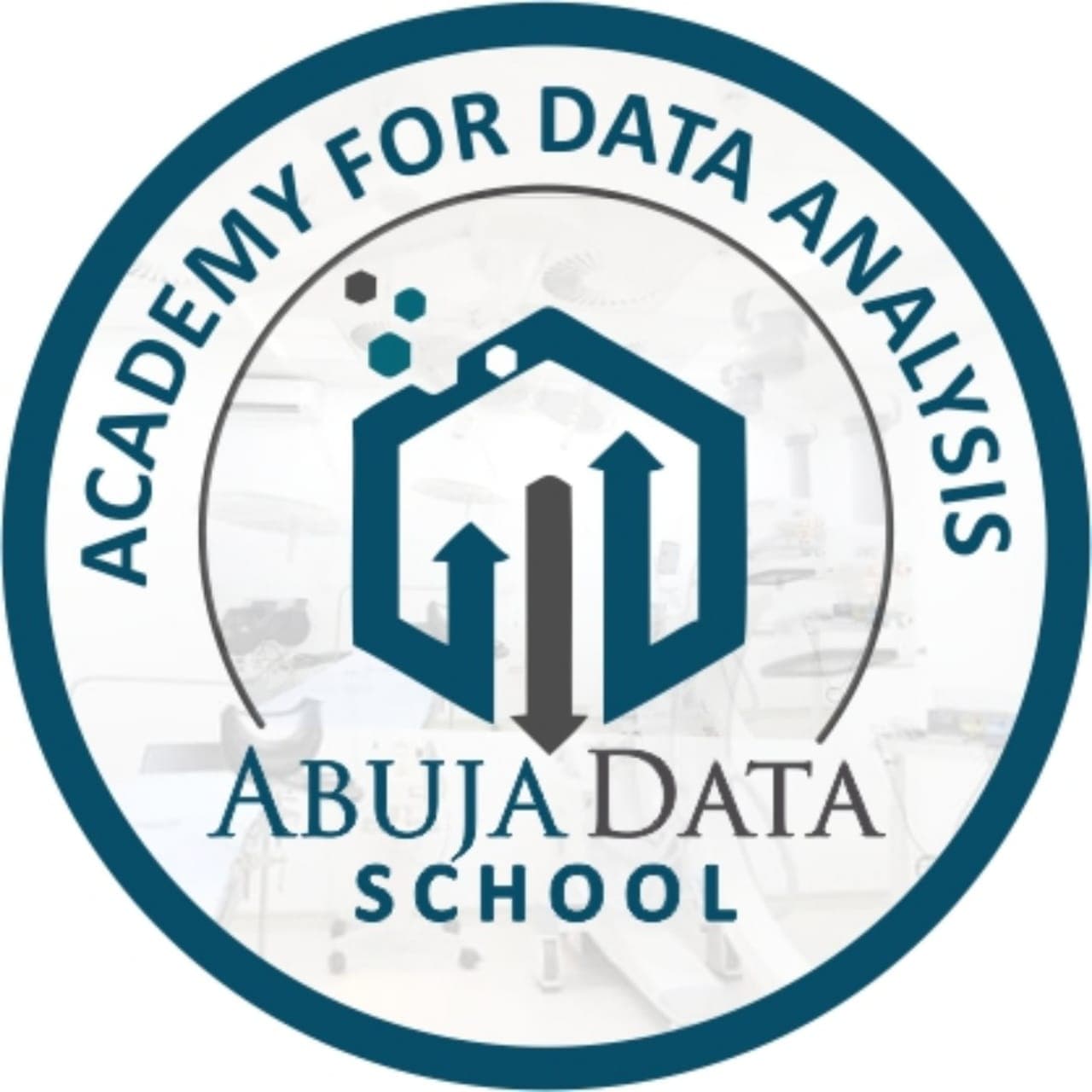 Abuja Data School brand mark
